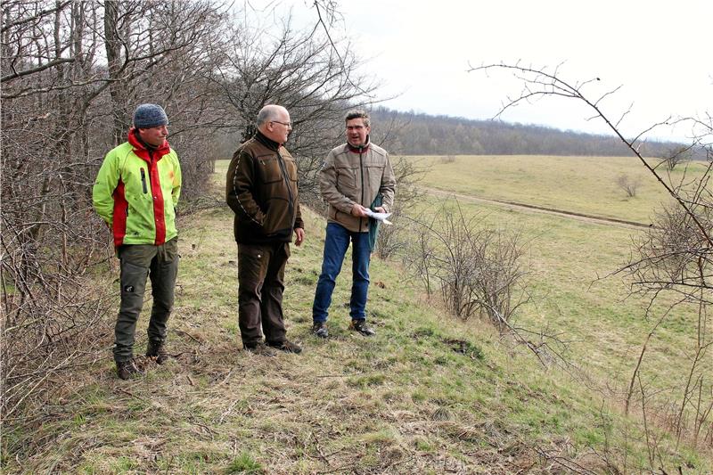 Lucas Prescher, Hans Hesse und Rainer Schlicht (v.li.) einigen sich beim Ortstermin auf einen Wanderweg, auf dem niemand das Wild stören wird. Der Stichweg auf der Dammkrone des einstigen Fortunateiches ist nun Teil des Naturerlebnispfades. Foto: Leifeld