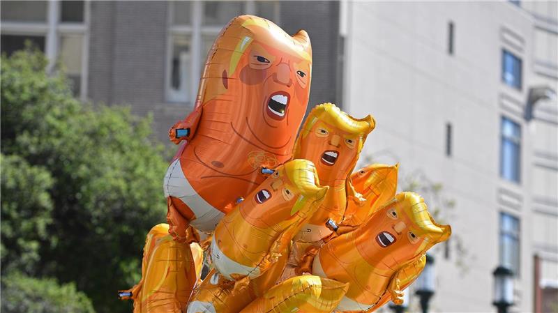 Luftballons mit dem Konterfei von US-Präsident Trump blicken hinter einem Busch hervor.