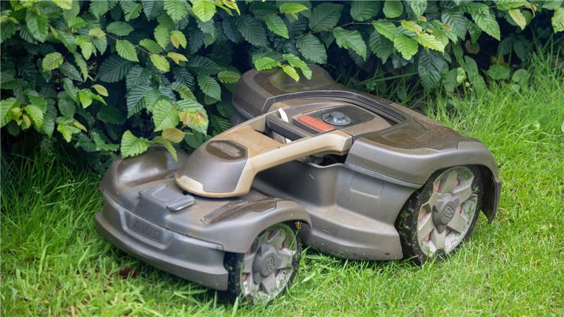 Igel-Population „im Sinkflug“ – wie man helfen kann Ein Mähroboter mäht Gras in einem Garten.