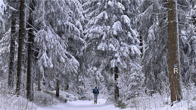 Brrrrrr! Warum es gerade so kalt ist Manche genießen den Winterspaziergang, doch für andere ist die anhaltende Kälte eine enorme Belastung.