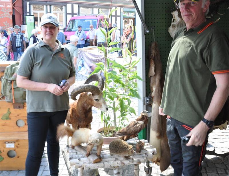 Mancher Waldbewohner wurde in ausgestopfter Form auf dem Marktplatz präsentiert.