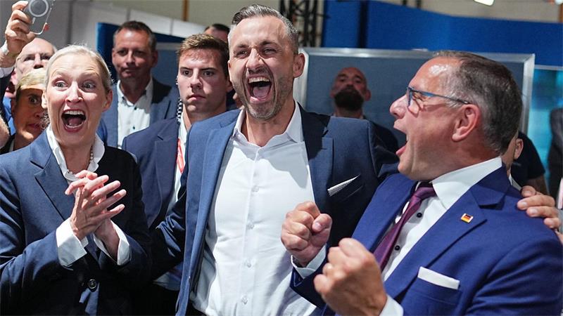 Manches, was die AfD in ihrem Wahlprogramm in Sachsen-Anhalt als Ziel hat, fällt nicht in den Verantwortungsbereich der Länder. (Archivbild)