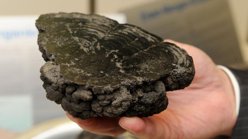 Studie: Metallknollen in der Tiefsee erzeugen Sauerstoff Manganknollen können einer Studie zufolge auf dem Meeresboden Sauerstoff erzeugen. (Archivbild)