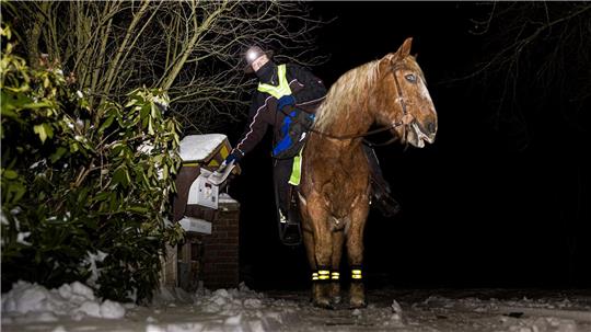 Marcus Zaton trägt am frühen Morgen auf dem Rücken seines Pferdes Wilko die Cellesche Zeitung in dem Dorf Wiedenrode im Landkreis Celle aus.