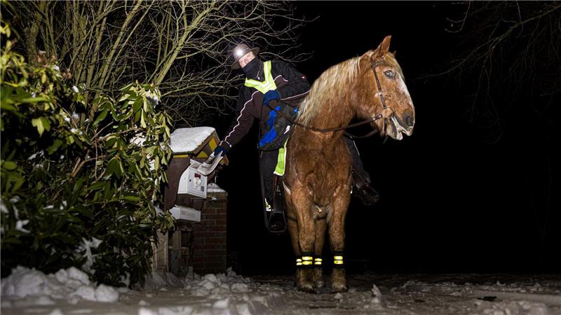 Marcus Zotan trägt am frühen Morgen auf dem Rücken seines Pferdes Wilko die Cellesche Zeitung in dem Dorf Wiedenrode im Landkreis Celle aus.