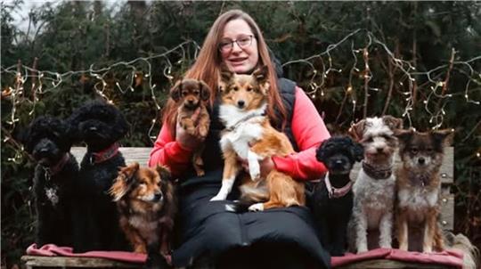 Frau mit vielen Hunden 