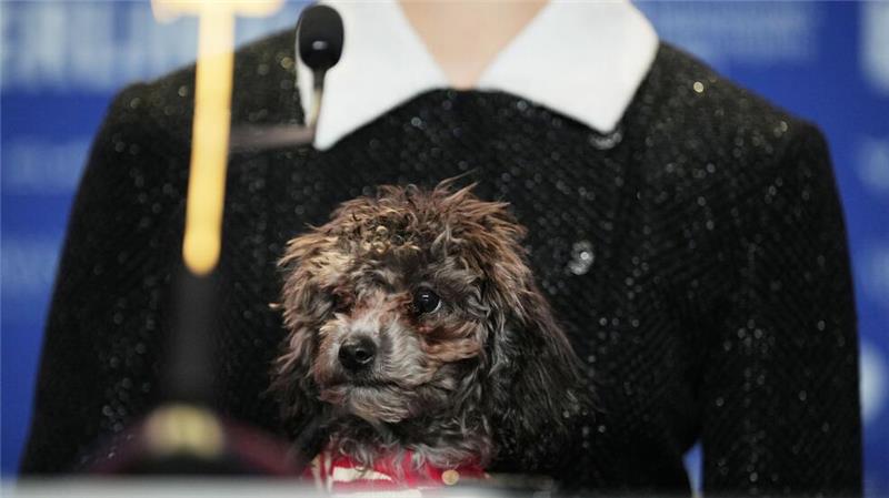 Margaret Qualley überrascht auf Pressekonferenz mit Hund Margaret Qualleys Hund heißt Smokey.