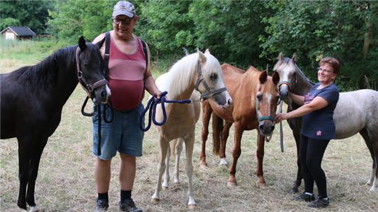 Mario und Annegret Backen leben die Welsh-Ponyzucht als gemeinsames Hobby. Drei forsche Jährlingsstuten mit den klingenden Namen Resi, Belinda und Shakira teilen sich derzeit mit der 33-jährigen „Pony-Oma“ Ramona die Koppel.