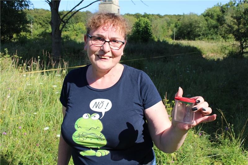 Naturschützer entdecken seltene Insektenarten Marion Jendrecki freut sich über einen Bienenwolf. Foto: Wendt