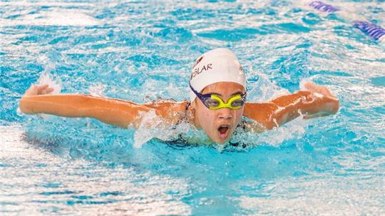 Marissa Röttger holt sich sechs Goldmedaillen in ihrem Jahrgang 2011 und ist damit die erfolgreichste MTV-Schwimmerin vor Isabella Janitzki und Yehor Byba, die jeweils fünf Wettkämpfe gewinnen. Foto: Schenk
