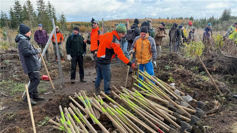 Umweltminister: „Der Harz und die Welt sollen grüner werden“ Materialausgabe an die 130 Helferinnen und Helfer. Sie werden sogleich 3500 Bäume pflanzen.