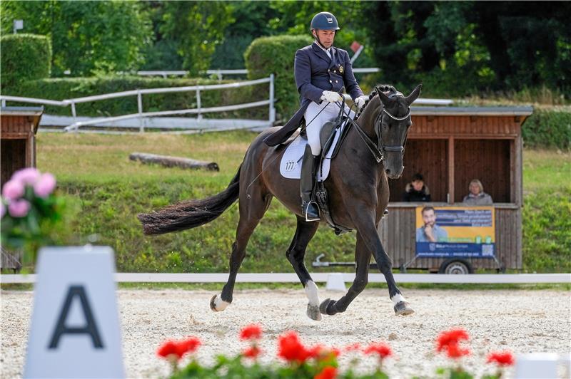 Dressur- und Springturnier in Westerode trotzt den Regenfällen Matthias Klatt vom PSV Hahausen belegt in der S*-Dressur die Plätze eins und drei. Hier bringt er Della Rose auf dem Dressurplatz im Sportpark ins Schweben. Foto: Drechsler