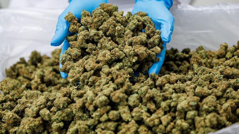 Einfach Kiffen auf Rezept Medizinisches Cannabis lässt sich zum Beispiel in Form von getrockneten Blüten bestellen. (Archivbild)