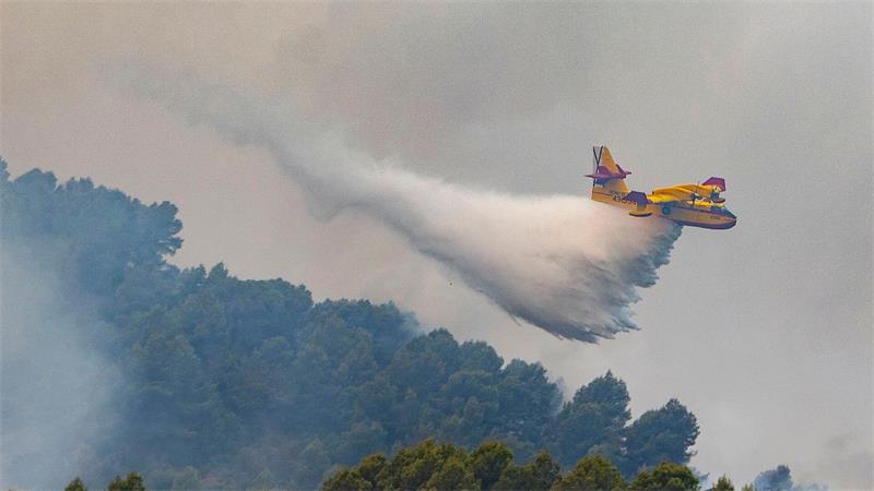 Studie: Waldbrand-Risiko in Südeuropa ist stark gestiegen Mehr Feuerwehr und mehr Löschflugzeuge können nicht allein die Lösung sein, meinen Fachleute.