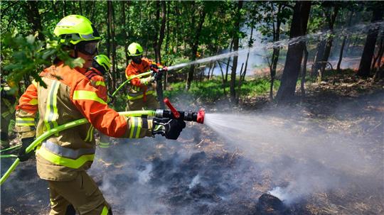 Mehr als 500 Einsatzkräfte übten die Waldbrandbekämpfung unter realen Bedingungen und bei hochsommerlichen Temperaturen. 