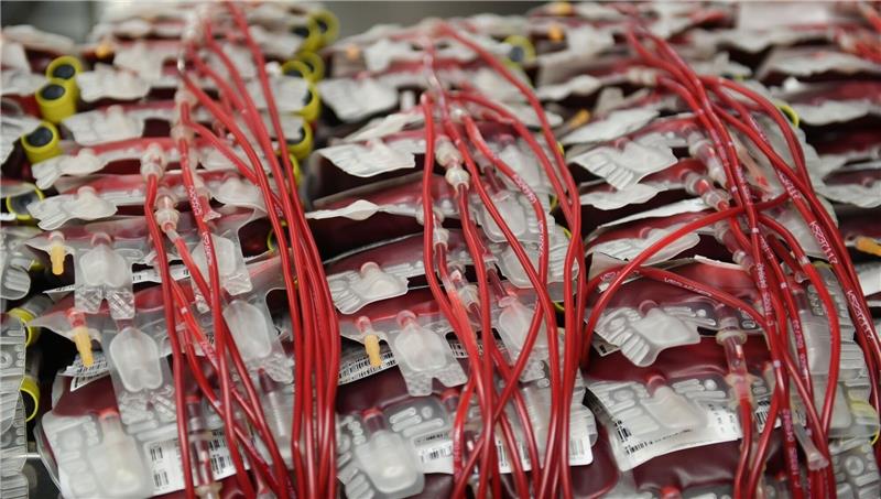 Homosexuelle Männer sollen leichter Blut spenden dürfen Mehrere Beutel mit Erythrozyten-Konzentrat (rote Blutkörperchen) einem Kühlraum.