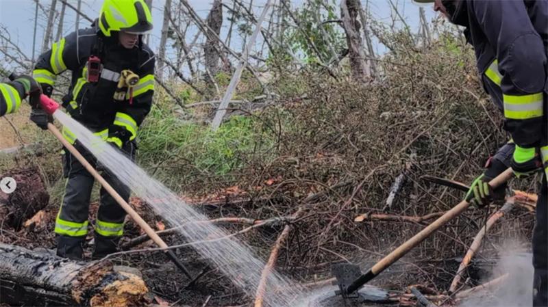 Feuerwehrmänner halten einen Wasserschlauch auf ein Glutnest