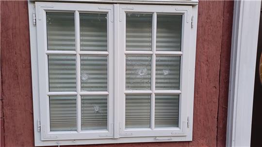 Mehrere Fensterscheiben der Stiftung in Celle sind zerstört worden.
