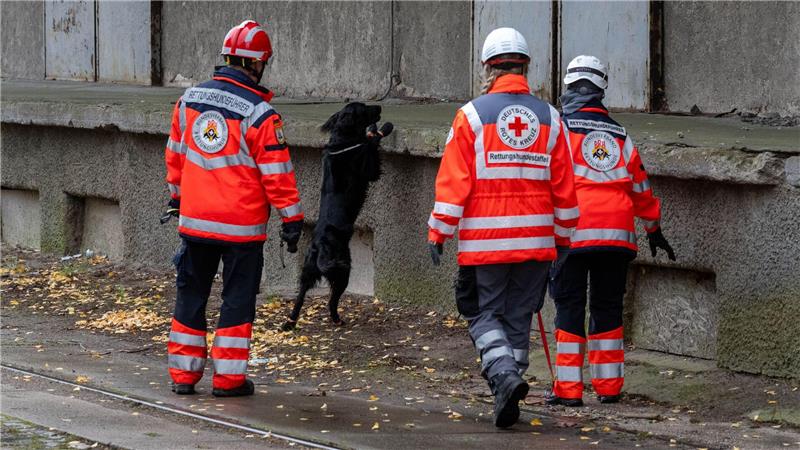 Mehrere Rettungshundestaffeln suchen in Güstrow nach einem Jungen.