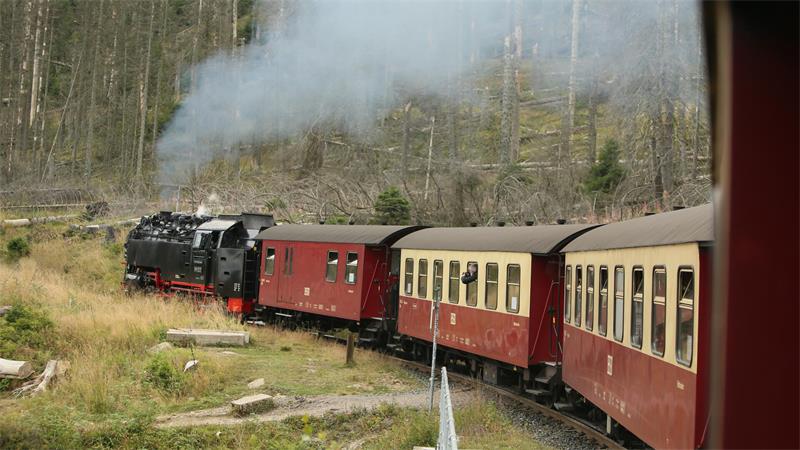 Ein Zug der Harzer Schmalspurbahnen GmbH (HSB) fährt zum Brocken.