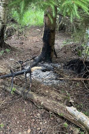 Mehrere solcher Brandstellen findet die Feuerwehr bei ihrem Eintreffen am Silberteich vor.