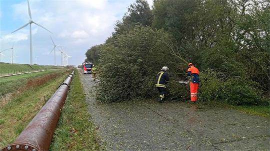 Mehrfach rückten Einsatzkräfte aus, um umgefallene Bäume von Straßen zu räumen.