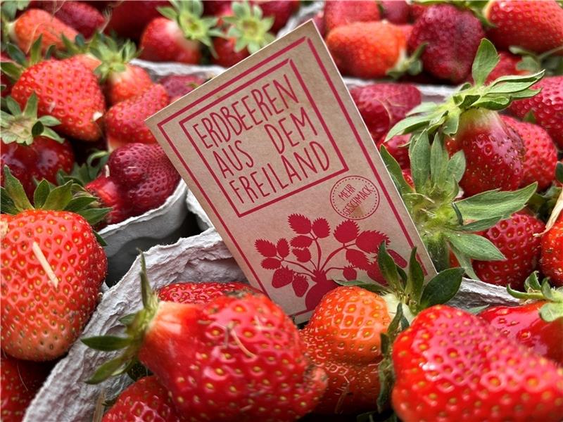 Mehrwert: Erdbeeren aus der Region stehen für Geschmack. Foto: Vasel