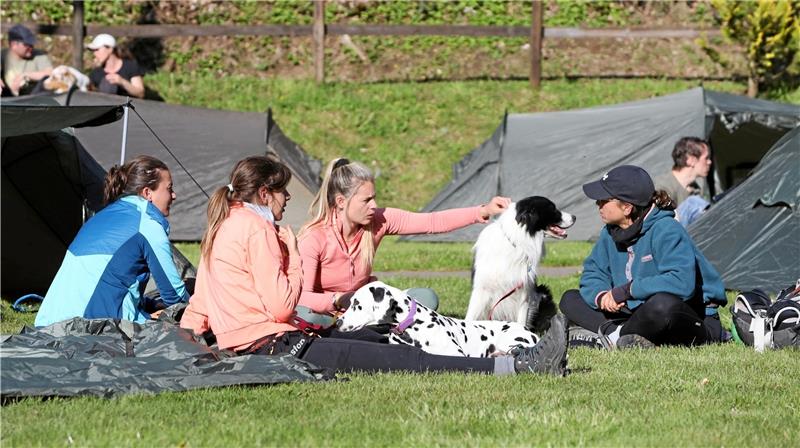 „The Game“ im Oberharz: Abenteuer für Mensch und Hund Mensch und Hund regenerieren sich nach einem ereignisreichen Tag. Foto: Neuendorf
