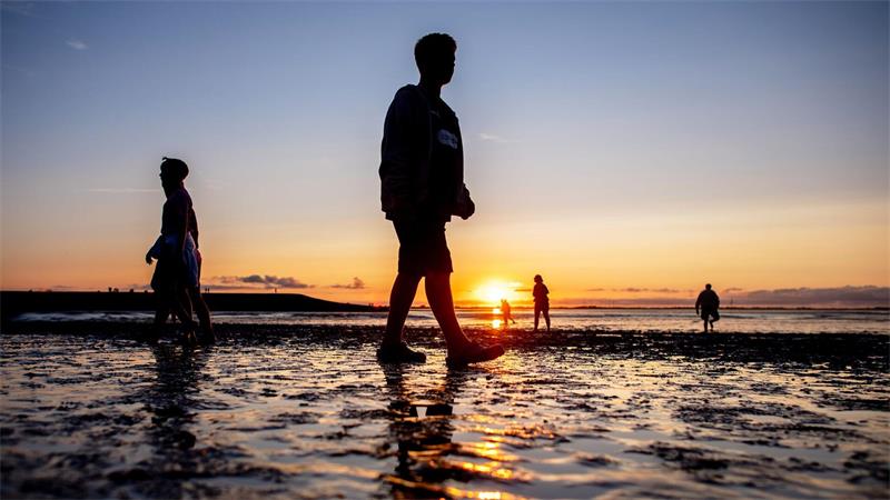 Menschen gehen beim Watt en Schlick Festival am Strand von Dangast bei Sonnenuntergang durch das Watt.