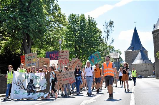 Menschen müssen auf dem Weg zur Klimaneutralität lokal mitgenommen werden – das sagt Henry Fischer beim „Forum Clausthal“. Dafür geht die Bewegung „Fridays for Future“ auch in Goslar auf die Straße.  Fotos: GZ-Archiv/Screenshot