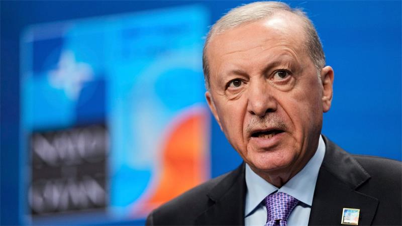Was vom Nato-Gipfel zu erwarten ist Menschenrechtsorganisationen kritisieren das Vorgehen des türkischen Präsidenten Recep Tayyip Erdogan gegen die Opposition - den Nato-Gipfel darf er dennoch ausrichten. (Archivbild)
