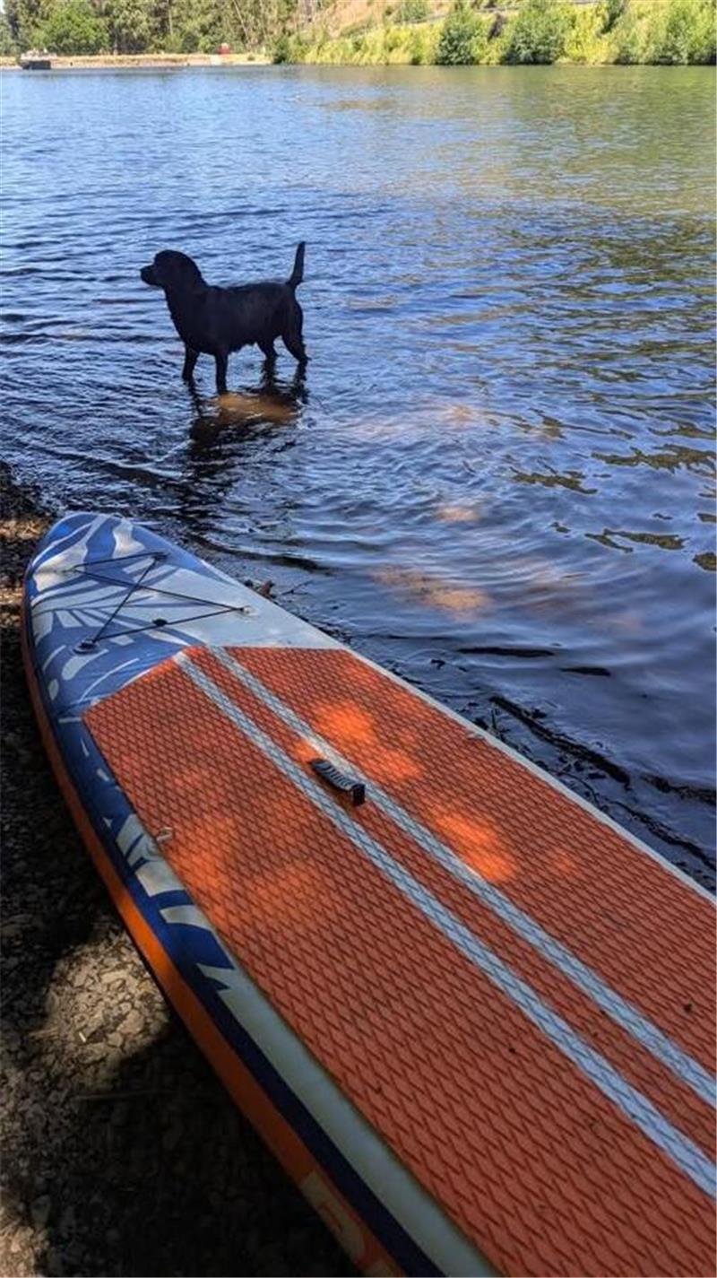 Merla Leier war mit ihrem Hund Yuki und ihrer Mutter Helga am Herzberger Teich.