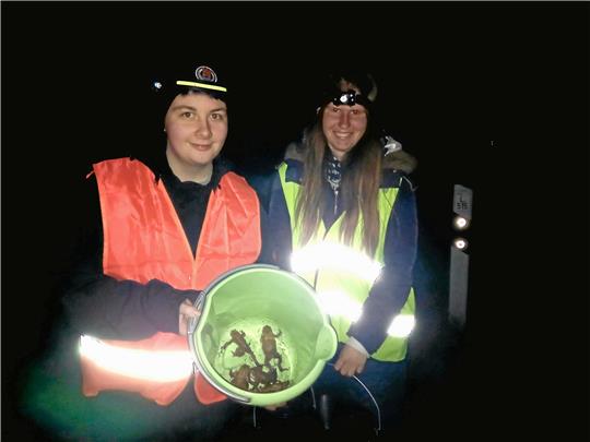 Merle Rittinghaus und Celina Fischer helfen regelmäßig, an der Innerstetalsperre die Amphibien einzusammeln und über die Straße zu bringen. Foto: Biener
