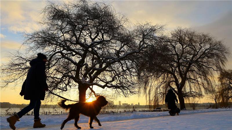 Meteorologen erwarten am Freitag bis zu 15 Zentimeter Neuschnee und kräftigen Wind in Norddeutschland. 