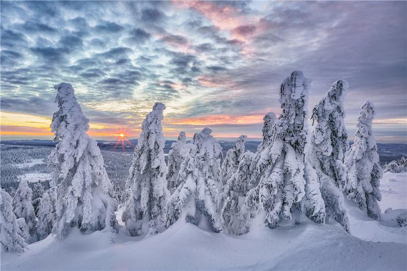 Ein Pilzbild siegt beim Nationalpark-Fotowettbewerb Michael Kästner aus Wernigerode fotografierte einen "Winterabend auf dem Brocken".