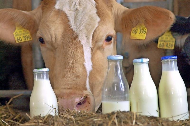 Milch hilft gegen Maroditis, hieß früher ein Slogan. Die Menschen in Bremen verzehren laut einer Studie im  Ländervergleich am meisten Milchprodukte. Foto Hildenbrand/dpa