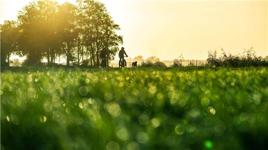 Mildes Herbstwetter für die kommenden Tage prognostiziert der DWD - die Sonne bleibt aber rar. 