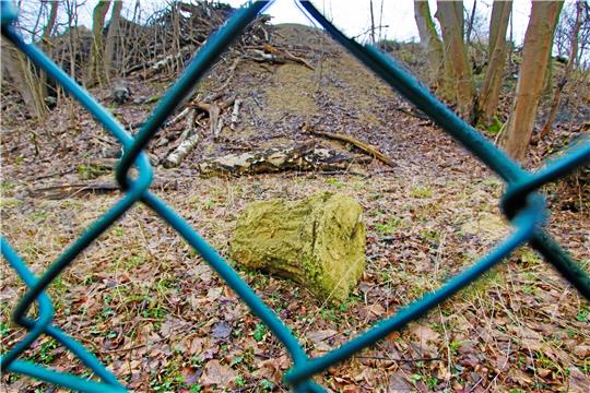 Mindestens 60.000 Tonnen Baustellen-Aushub sollen ungenehmigt auf einem Fliegerhorst-Waldstück gelagert worden sein. Die Staatsanwaltschaft hat Anklage gegen Investor Folkert Bruns erhoben. Foto: Epping