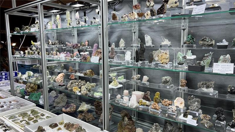 Mineralien, Fossilien und Kristalle aus aller Welt kommen am Wochenende in der Stadthalle zusammen.