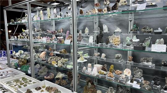 Mineralien, Fossilien und Kristalle aus aller Welt kommen am Wochenende in der Stadthalle zusammen.