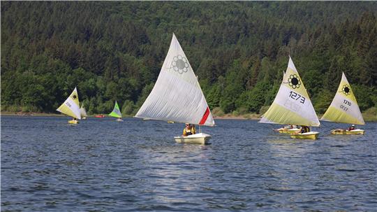 Segelboote mit weißen Segeln auf einem See vor bewaldetem Ufer
