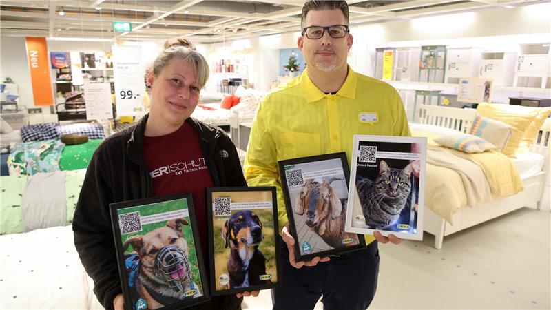 Mit Fotos werben Tierheimleiterin Sarah Ross und Ikea-Abteilingsleiter Gerrit Kaminski mitten in der Möbelausstellung für schwer vermittelbar Tiere.
