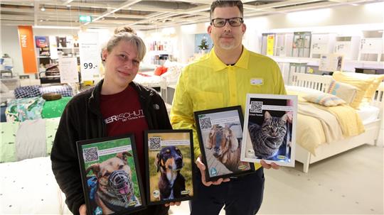Mit Fotos werben Tierheimleiterin Sarah Ross und Ikea-Abteilingsleiter Gerrit Kaminski mitten in der Möbelausstellung für schwer vermittelbar Tiere.