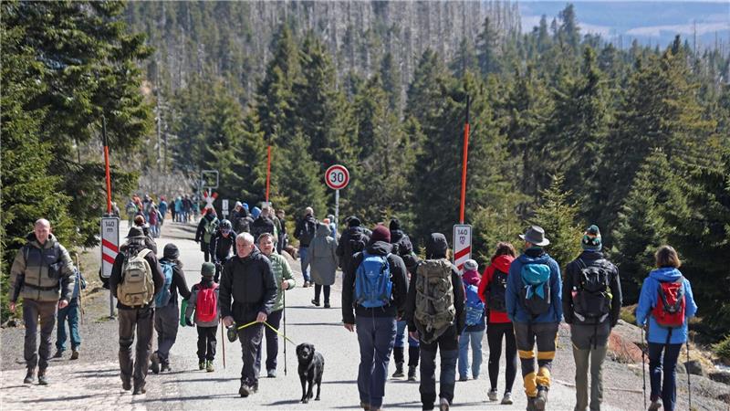 Mit Kind, mit Hund - auf jeden Fall warm angezogen waren viele Menschen am Brocken unterwegs.