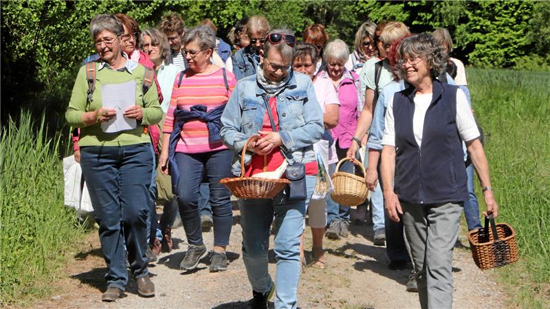 Mit Körbchen in der Hand geht es für die Teilnehmerinnen der Landfrauen-Veranstaltung bei Hahausen auf Kräuterwanderung.
