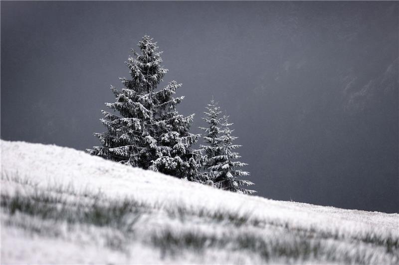 Winter-Vorboten und Schnee in Süddeutschland Mit Neuschnee bedeckt ist die Landschaft um den Riedbergpass.