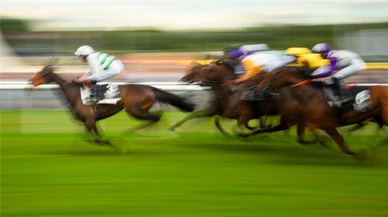Pferderennen in Frankreich werden bestreikt Mit Plänen für höhere Wettsteuern bringt die Pariser Regierung die Reitsportbranche gegen sich auf (Archivbild).