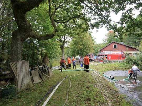 Mit Pumpen, Schläuchen und „Handarbeit“ gelang am Samstagvormittag die Reinigung des Teiches.  Foto: Privat
