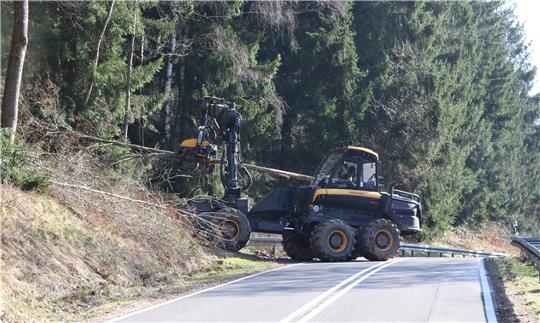 Mit dem Harvester werden die morschen und vertrockneten Bäume im Bereich der L 516 gefällt. Fotos: Neddermeier