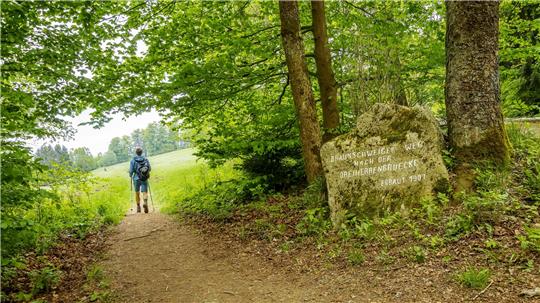 Mit dem Harzklub geht es im Juni wieder in die Natur – zu Fuß oder auf dem Fahrrad.